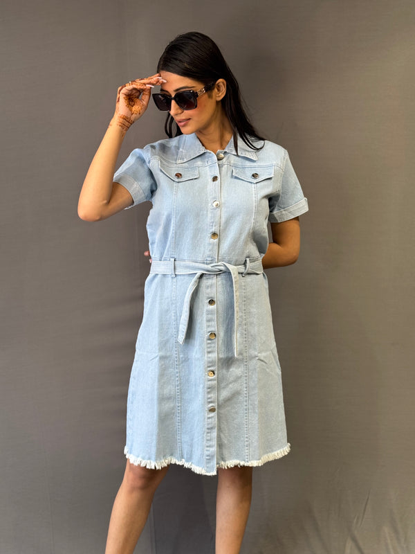 Light Blue Button-Down Denim Dress